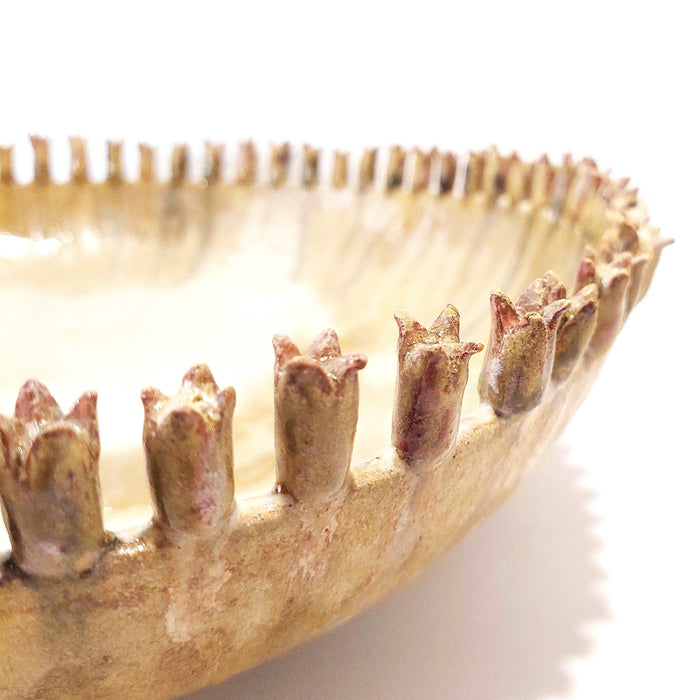 "Micromeria Bouquet" - Ceramic bowl