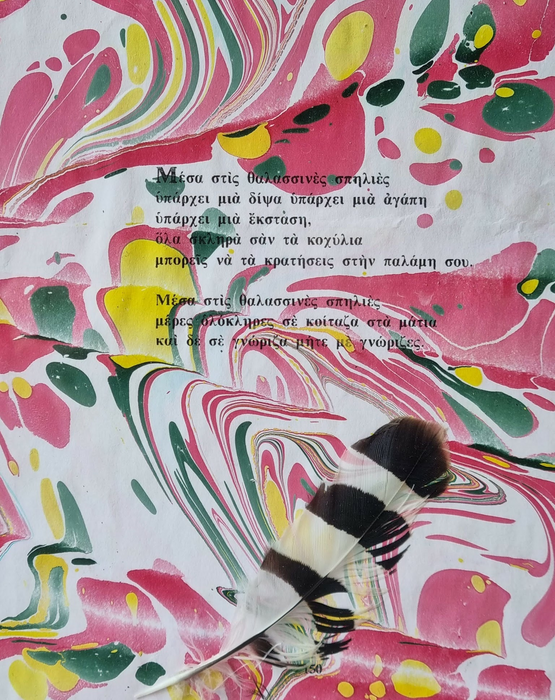 Poetry on marbled paper with feather