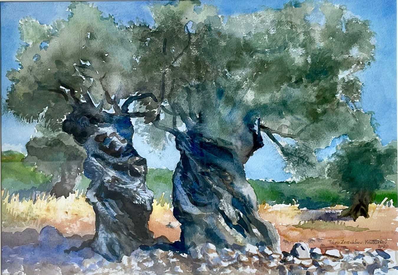 The Wonder Tree Collection – medley_athens