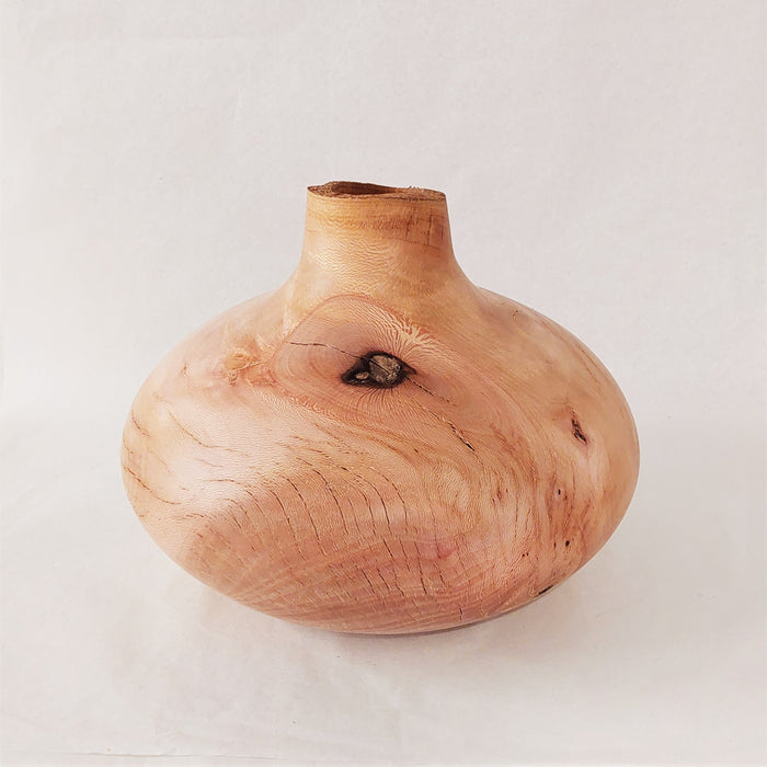 Sycamore Decorative Vase II